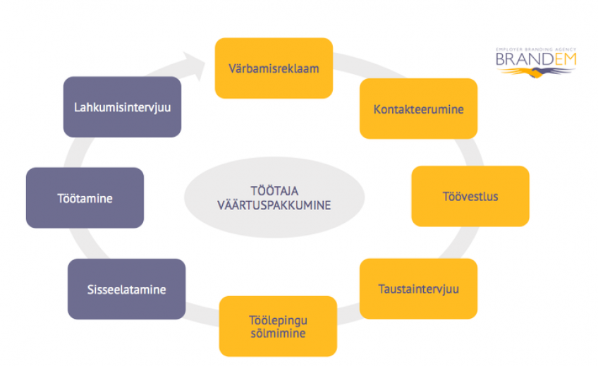 kandidaadi elutsükkel