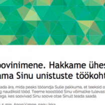 Loovinimeste küsitlus